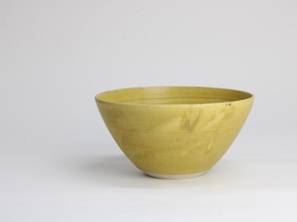 Noodle bowl in Thrown gold